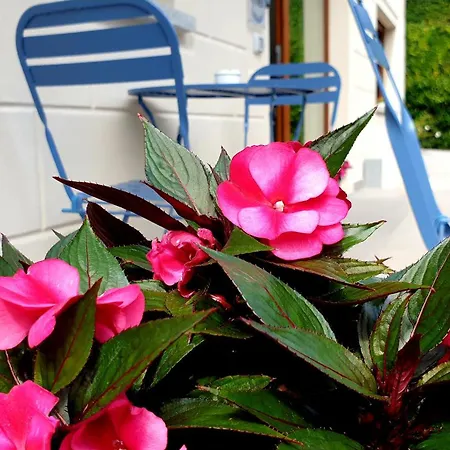 I It 住宿加早餐酒店 3*